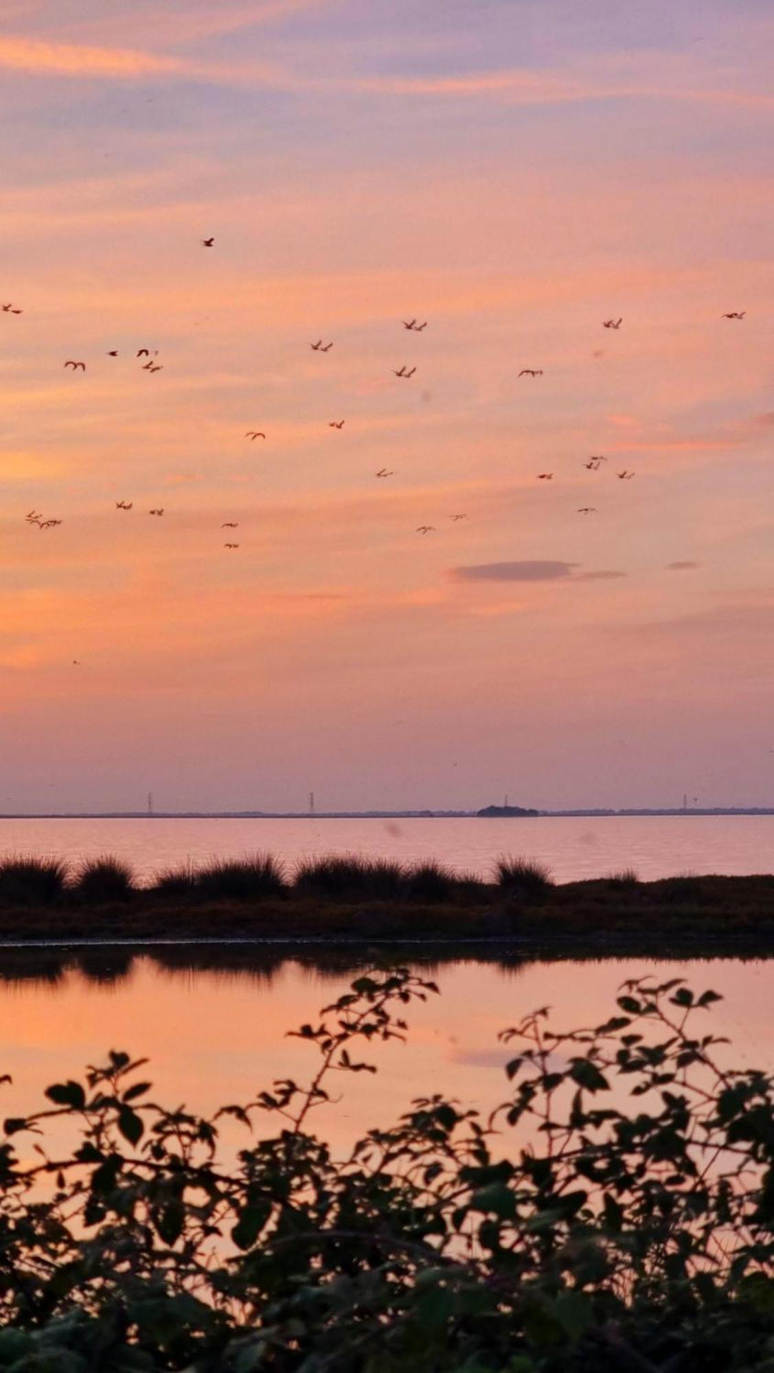 Al Ponticello Bed & Breakfast Comacchio Exterior foto
