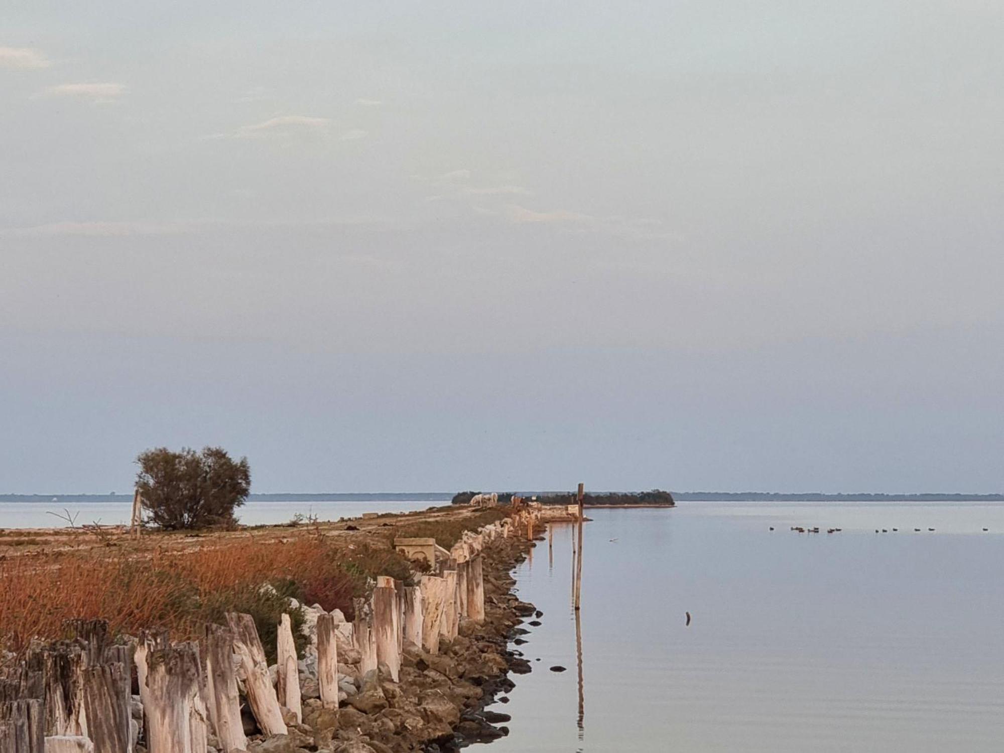 Al Ponticello Bed & Breakfast Comacchio Exterior foto