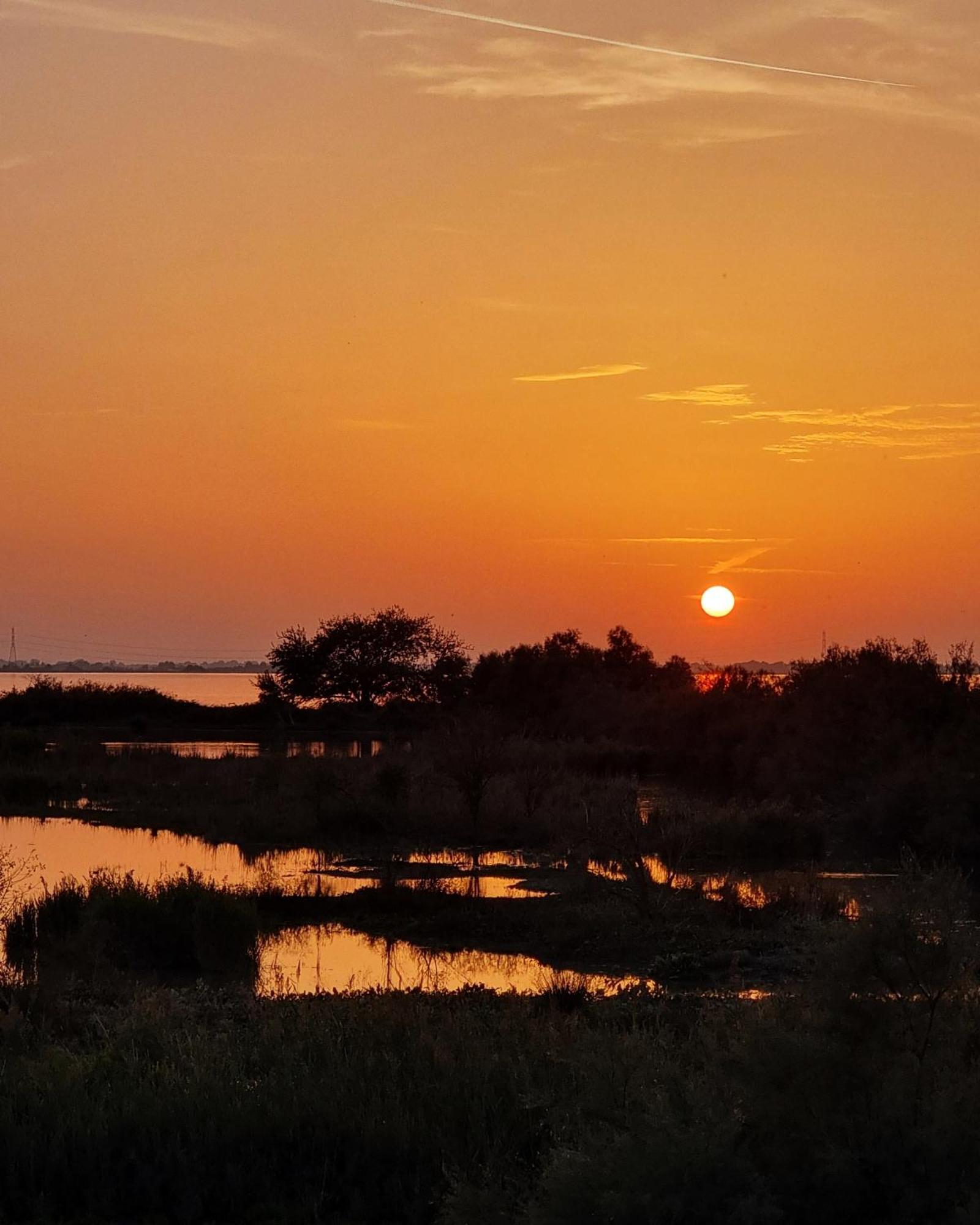 Al Ponticello Bed & Breakfast Comacchio Exterior foto